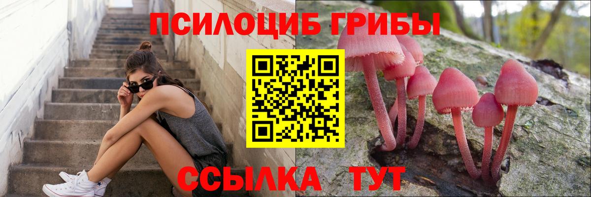 Псилоцибиновые грибы MAGIC MUSHROOMS Алатырь